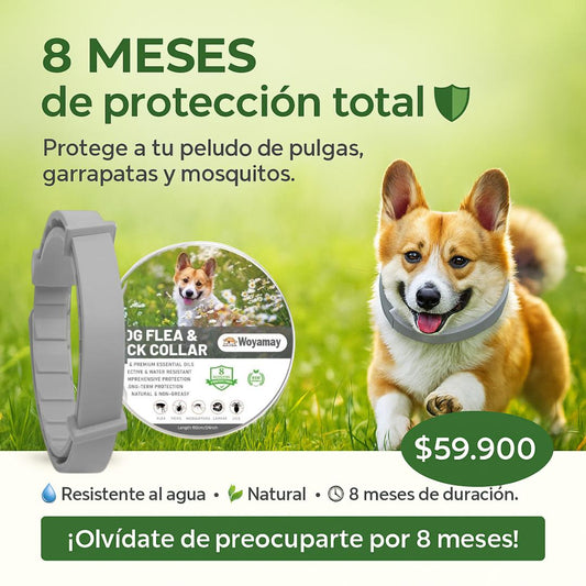 Collar Mascotas Antipulgas